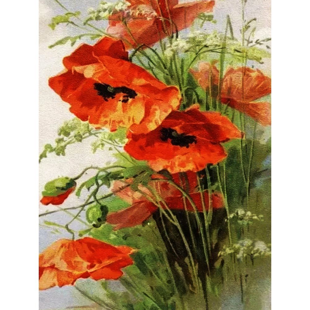 Diamond Paintings Art Full Drill Poppy Flower