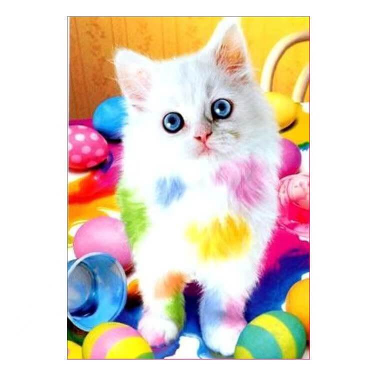 colorful cat 5d full drill diamond painting kit