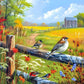 5D DIY Diamond Painting - Full Round / Square - Countryside Birds