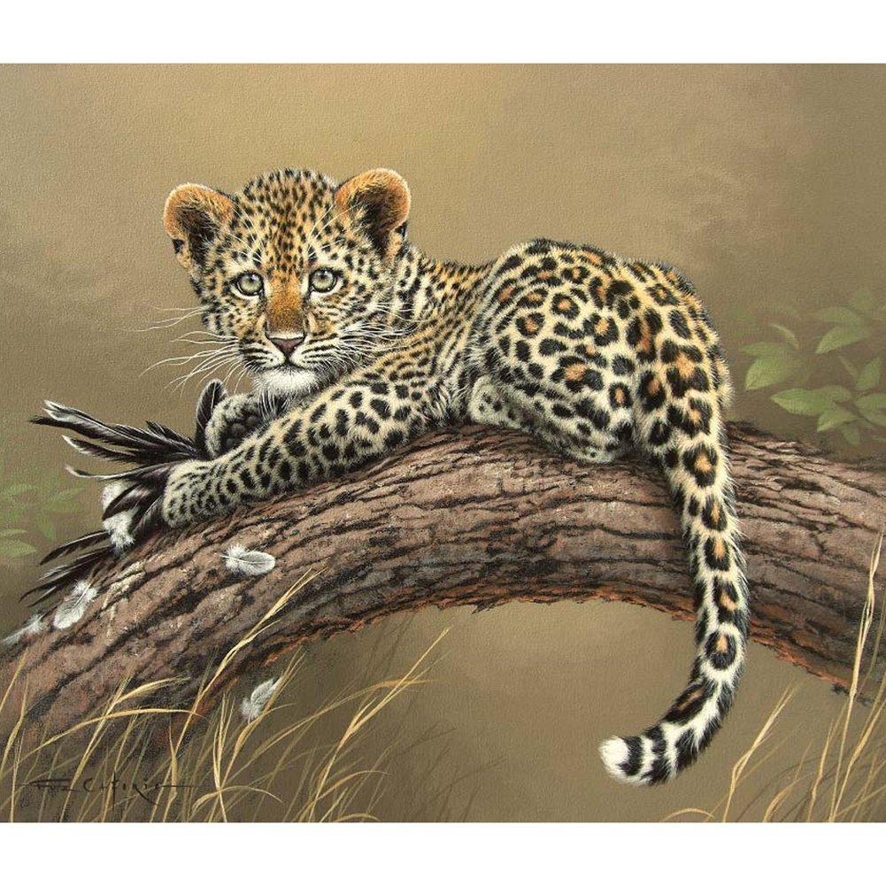 Diamond Painting - Full Round - Leopard A