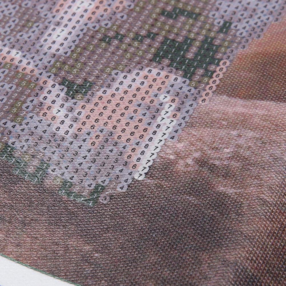 Diamond Painting - Partial Round - Lion