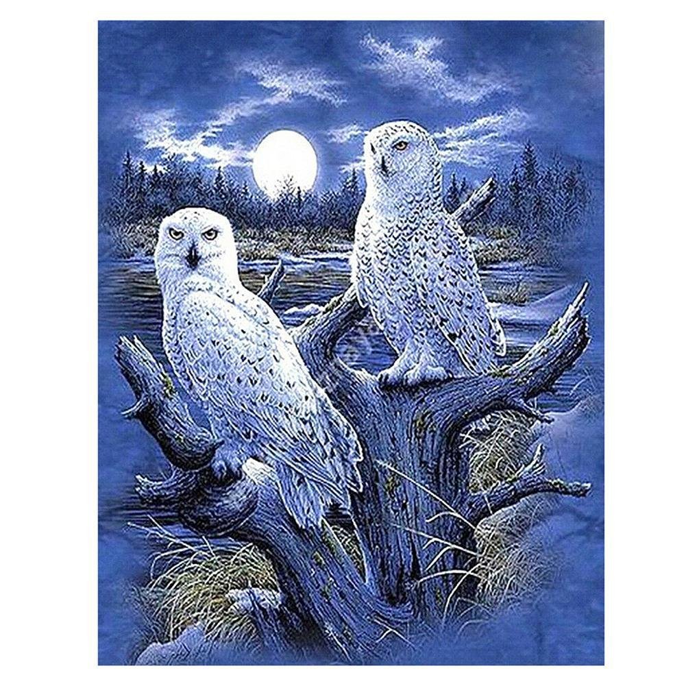 5D Diy Diamond Painting Kit Full Round Beads Moonlight Bird