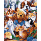 Paint By Number Oil Painting Wall Art Craft Decor Cats and Dogs (40*50cm)