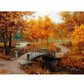 Paint By Number Digital Oil Painting   Autumn Forest