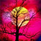 Diamond Painting - Full Round - Moon Tree