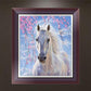 5D Diy Diamond Painting - Partial Round - Horse