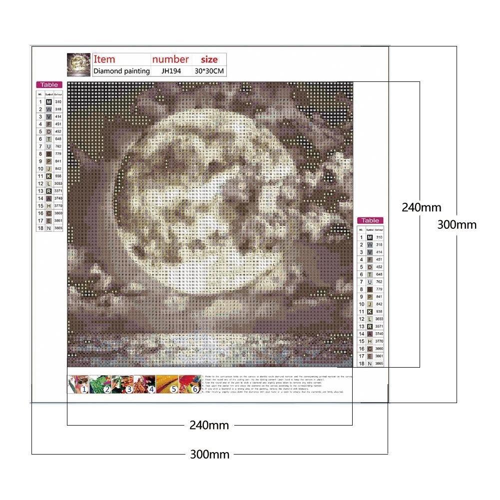 Diamond Painting - Full Round - Moon 1