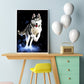 Paint By Number - Oil Painting - Wolf (40*50cm) G