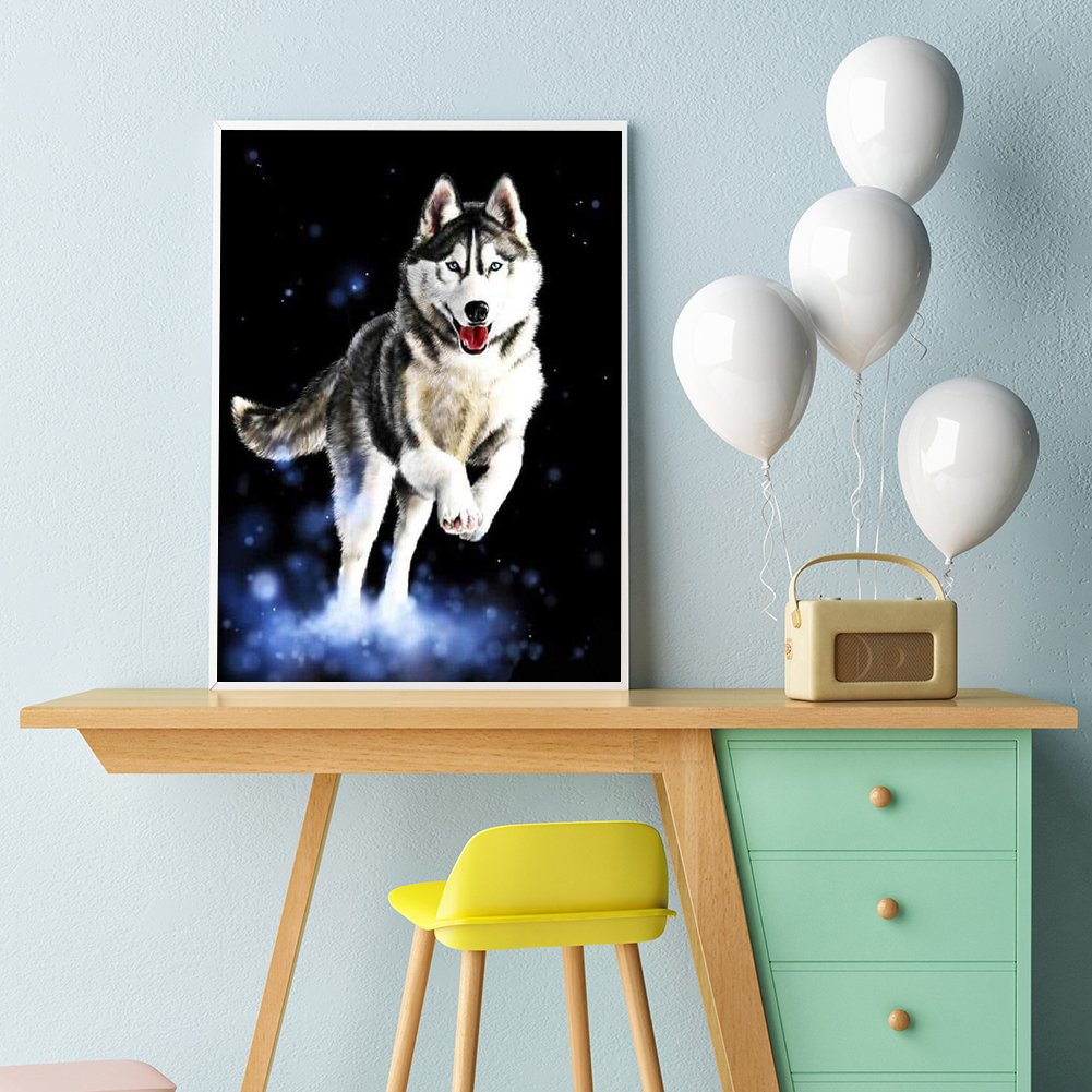 Paint By Number - Oil Painting - Wolf (40*50cm) G
