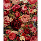 Painting By Numbers Kit Oil Painting Craft Home Wall Picture Bloom Flowers