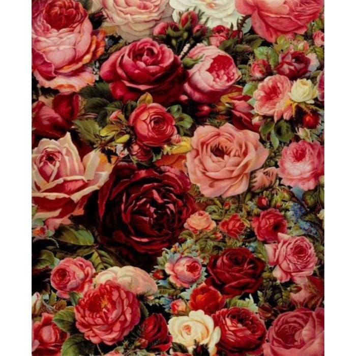 Painting By Numbers Kit Oil Painting Craft Home Wall Picture Bloom Flowers