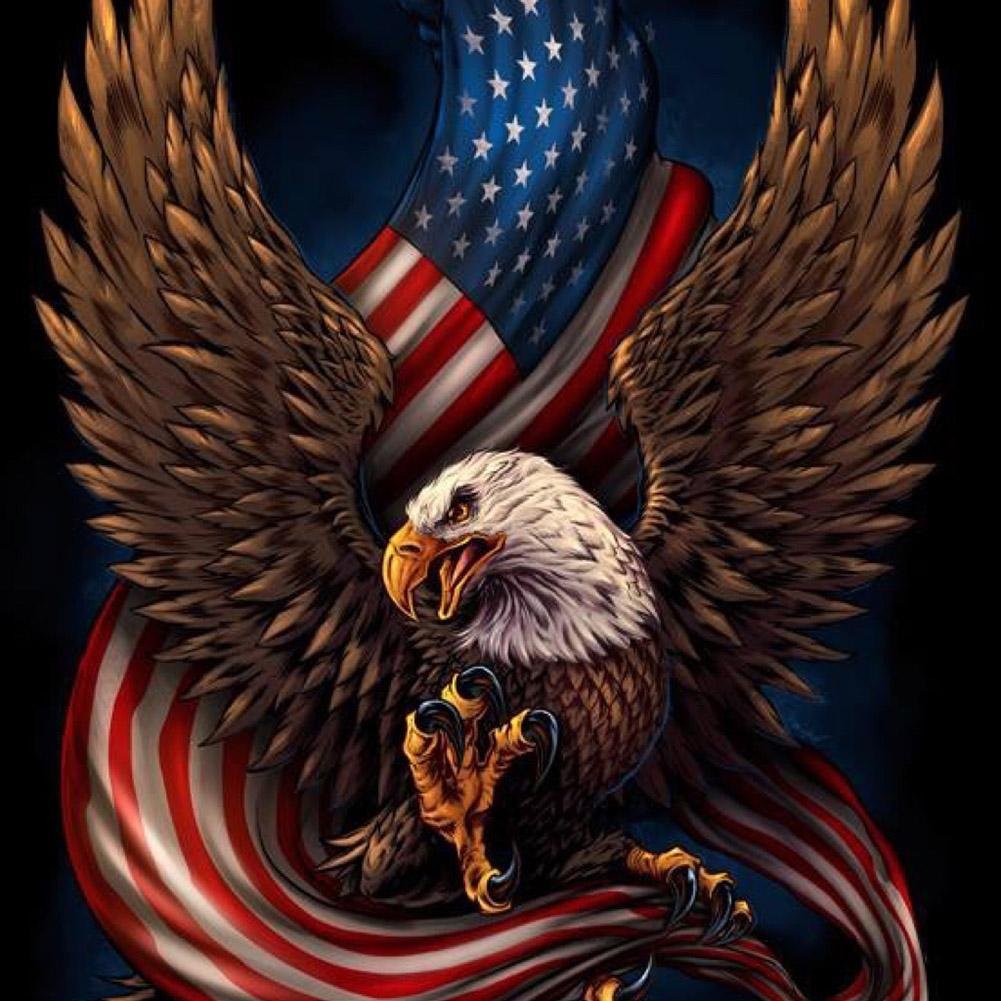 5D Diy Diamond Painting Kit Full Round Beads Eagle Flag