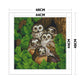 11ct Stamped Cross Stitch - Owl(48*48cm)