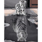 Tiger Cat Paint By Number Oil Painting  (40*30cm)