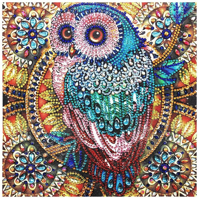 Diamond Painting Popular DIY decorations Crystal Rhinestone Bird