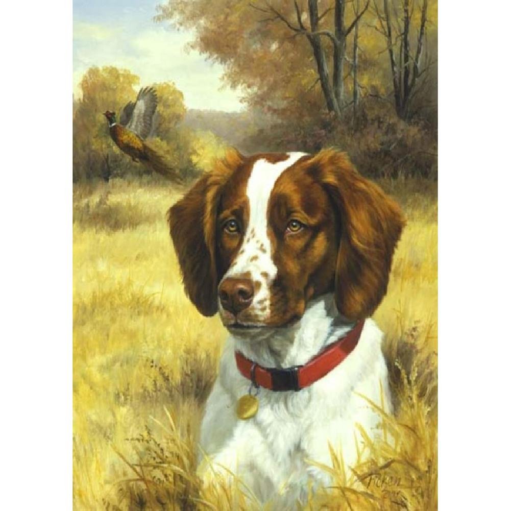 5D Diy Diamond Painting Kit Full Round Beads Dog