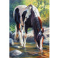 5D Diy Diamond Painting Kit Full Round Beads Drinking Horse