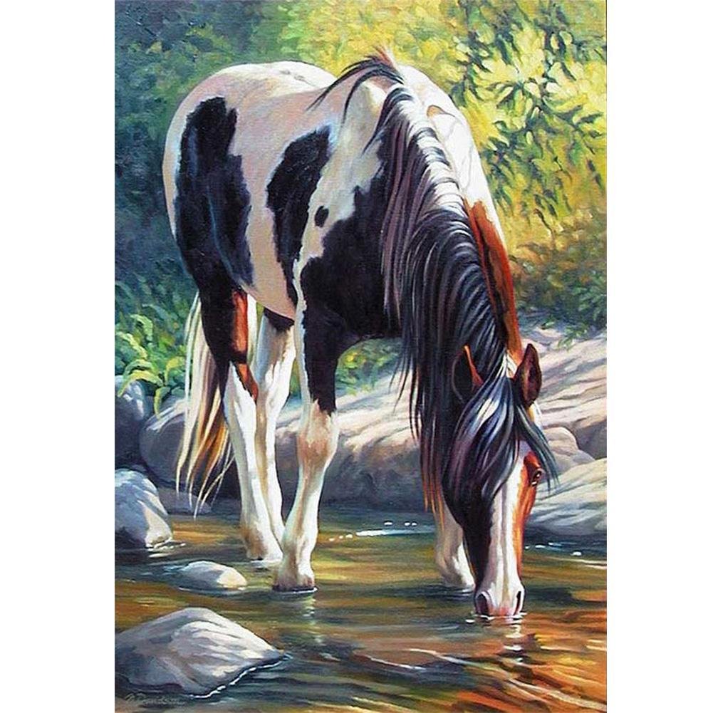 5D Diy Diamond Painting Kit Full Round Beads Drinking Horse