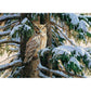 5D Diy Diamond Painting Kit Full Round Beads Snow Owl