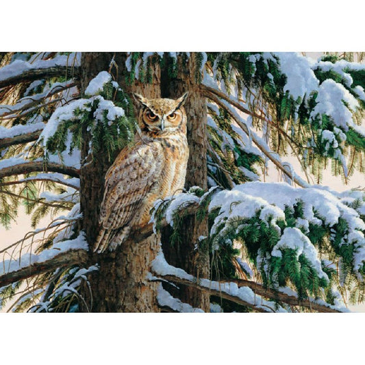 5D Diy Diamond Painting Kit Full Round Beads Snow Owl