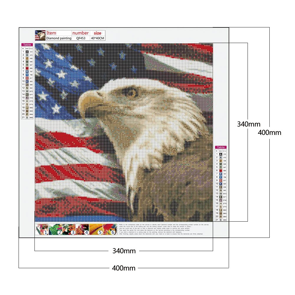Diamond Painting - Full Round - Eagle (40*40cm) A