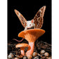 Diamond Paintings Art Full Drill Animal & Plants