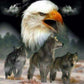 5D Diy Diamond Painting Kit Full Round Beads Eagle & Wolf