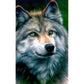 5D Diy Diamond Painting Kit Full Round Beads Wolf