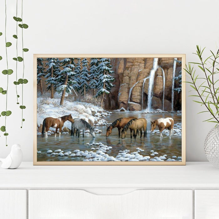 Horse Animal Oil Painting By Numbers Canvas Hand Painted Art Picture