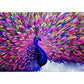 diamond dotz purple peacock diamond embroidery kit