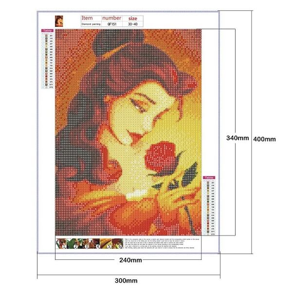  belle princess with rose Disney diamonds painting set canvas size
