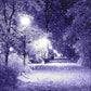 Diamond painting - Full Round - Purple Night