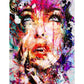 Complicated Woman Face Oil Painting By Numbers