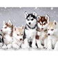 5D Diy Diamond Painting Kit Full Round Beads Dog Family