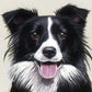 5D Diy Diamond Painting Kit Full Round Beads Dog