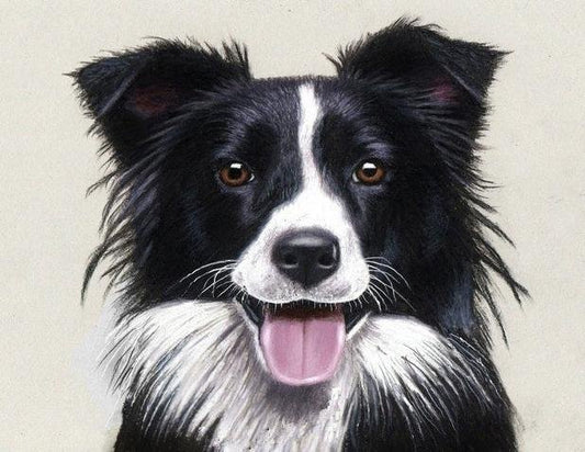 5D Diy Diamond Painting Kit Full Round Beads Dog