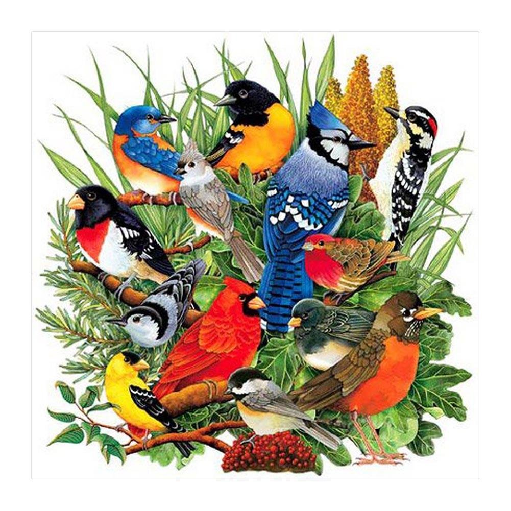5D Diy Diamond Beads Art Full Square Resin Magpies