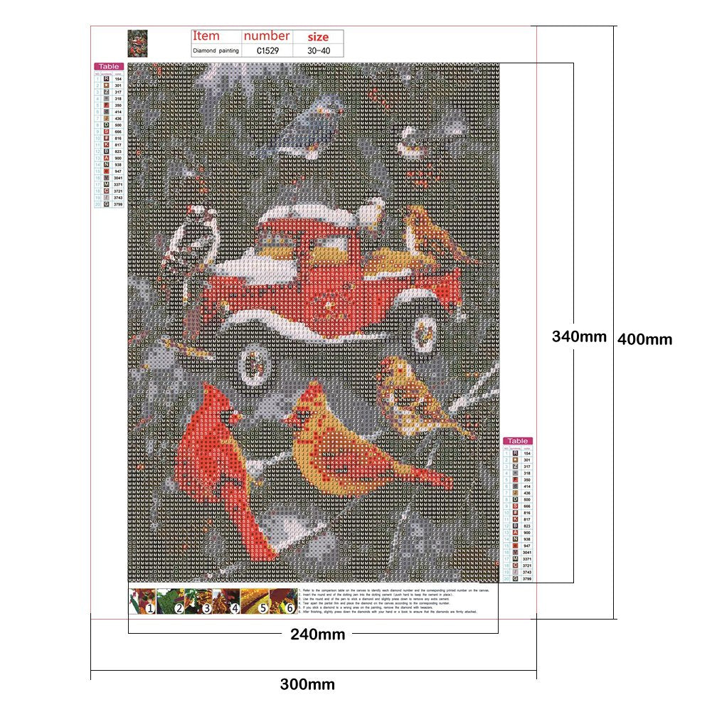 Diamond Painting - Full Round - Car Birds