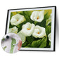 Paint By Number - Oil Painting - Flower (40*50cm)