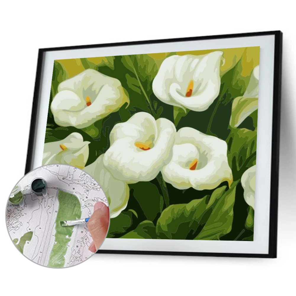Paint By Number - Oil Painting - Flower (40*50cm)