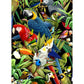 5D Diy Diamond Painting Kit Full Round Beads Parrots