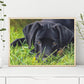 Diamond Painting - Full Round - Dog 21