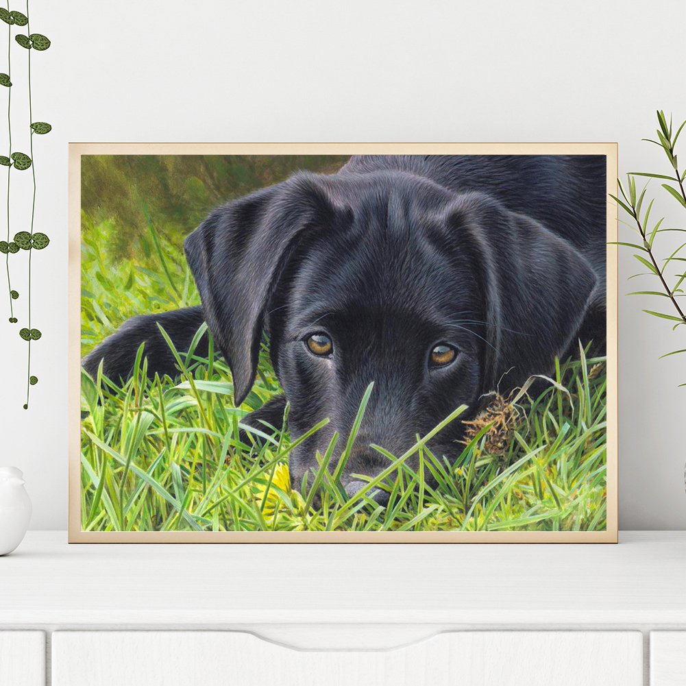 Diamond Painting - Full Round - Dog 21