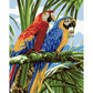 DIY Digital Oil Painting By Numbers Kits Two Parrots Modern Wall Art