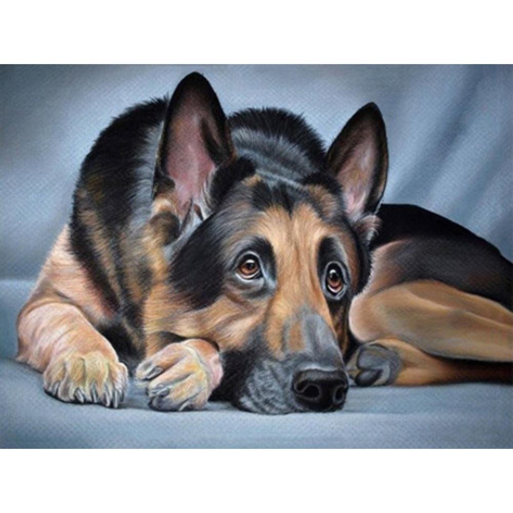Diamond Painting Partial Round Dog