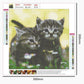 5D DIY Diamond Painting Kit - Full Round - Cute Cats/Kittens