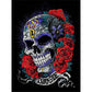 Diamond Paintings Art Full Drill Skull Head
