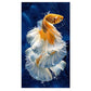 11ct Stamped Cross Stitch Quiet GoldFish(30*55cm)