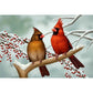 5D Diy Diamond Painting Kit Full Round Beads Birds