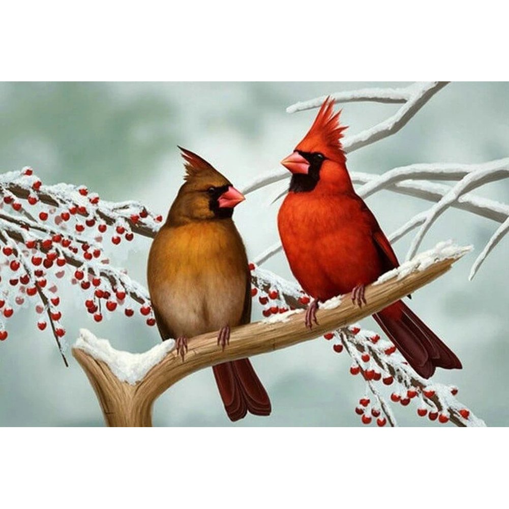 5D Diy Diamond Painting Kit Full Round Beads Birds